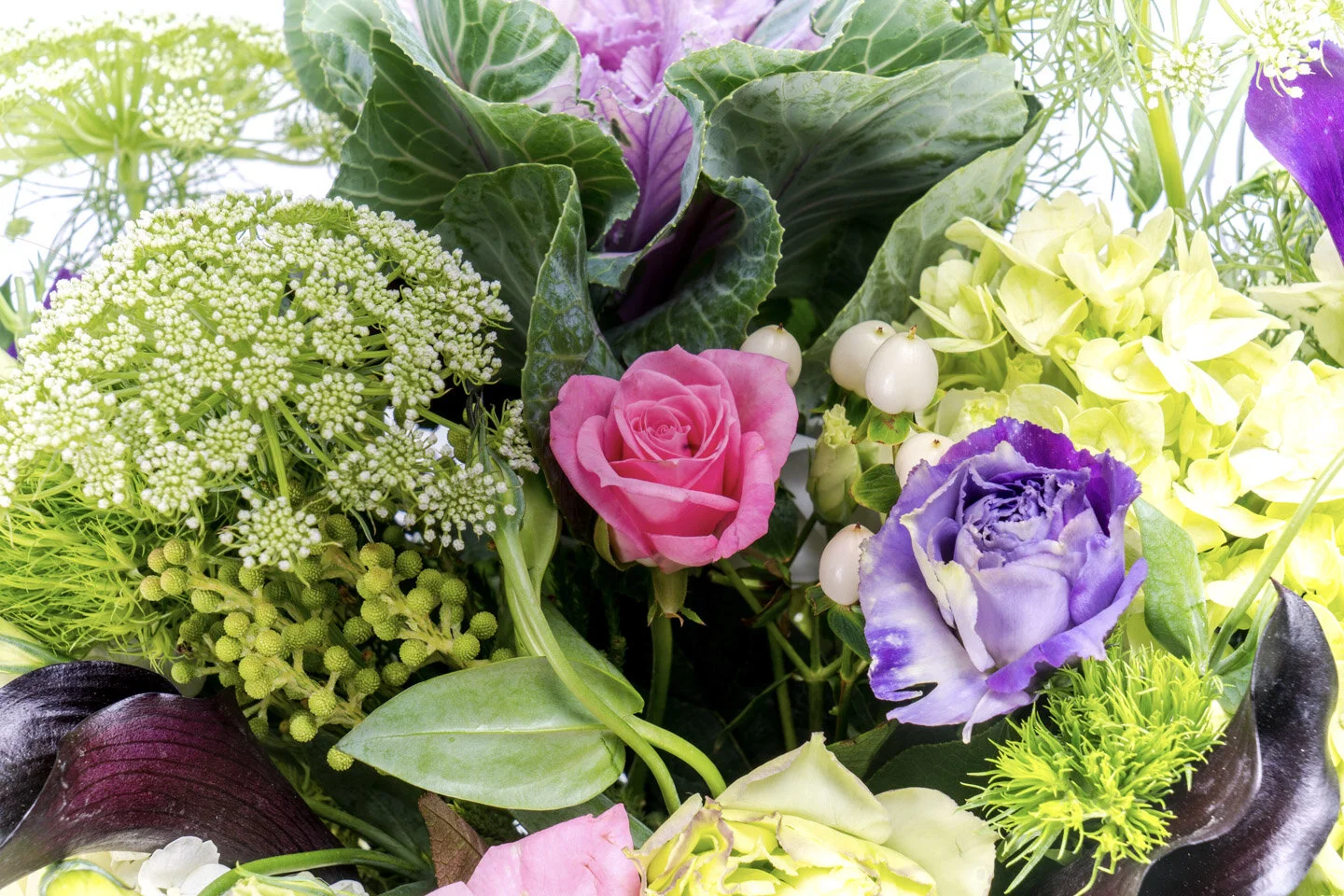 EC4923A8-FC8A-4419-BF98-CF5D142FD232