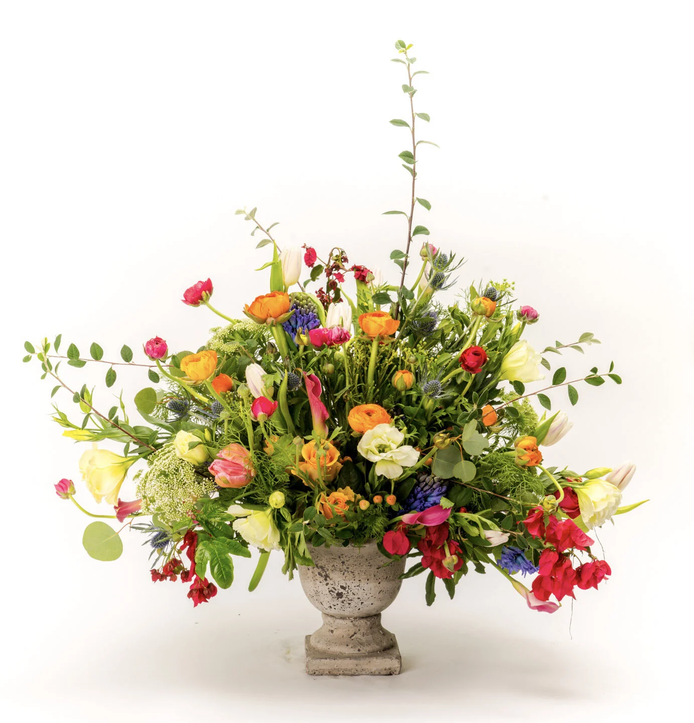 20A542C4-A387-4002-BB01-8C59796F5B78