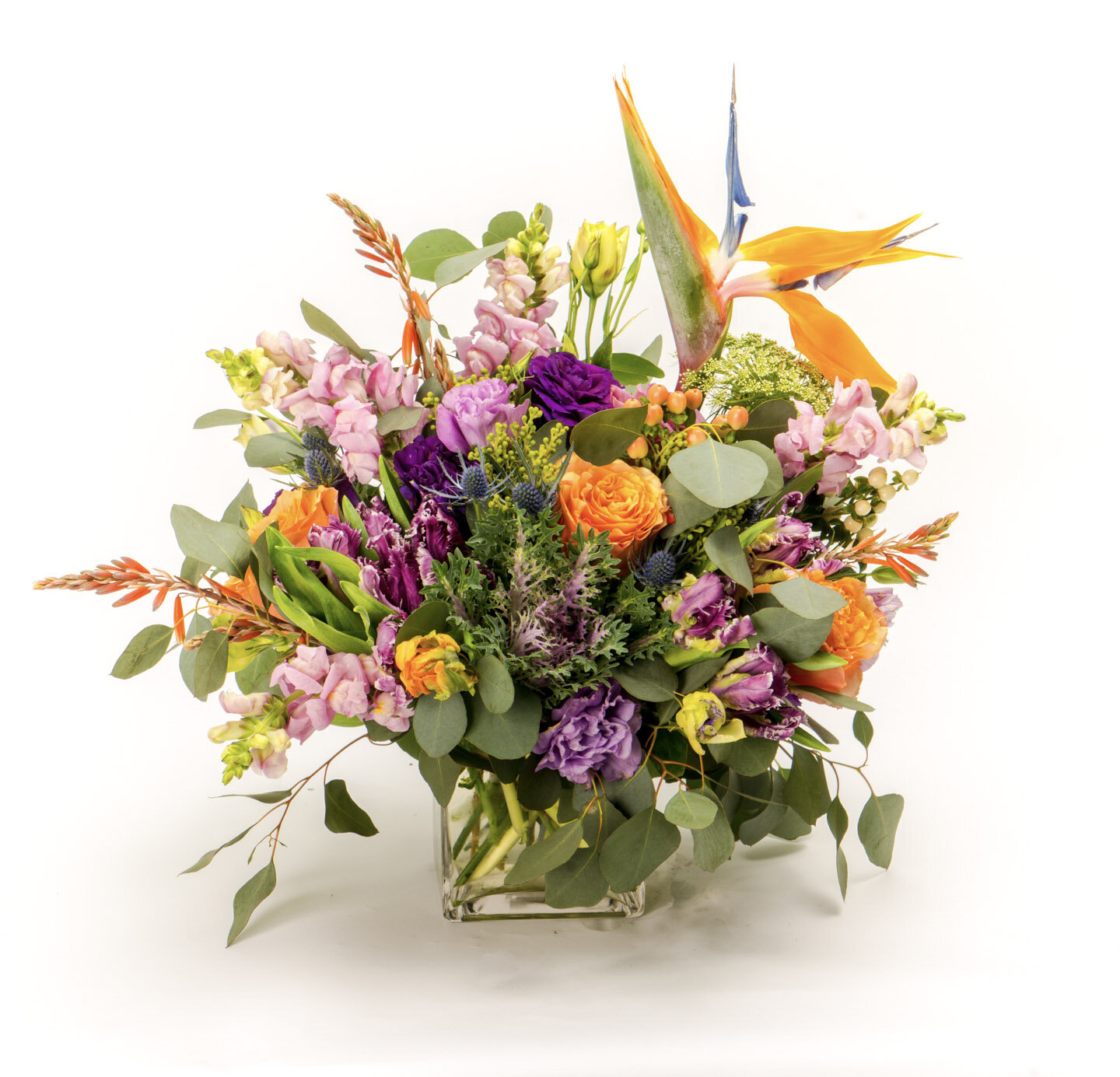 D7800E80-5A56-4522-B398-CE4A4595DF12