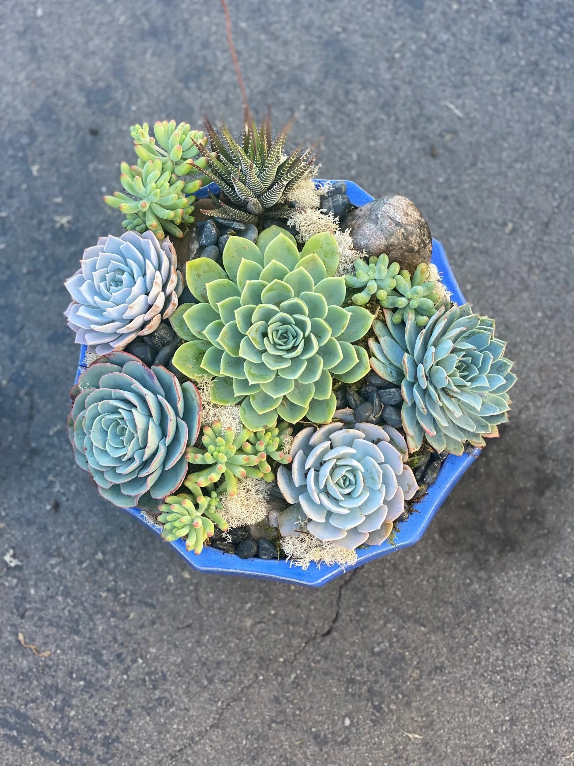 0D09857D-50FF-4964-BD21-0602087D9D02