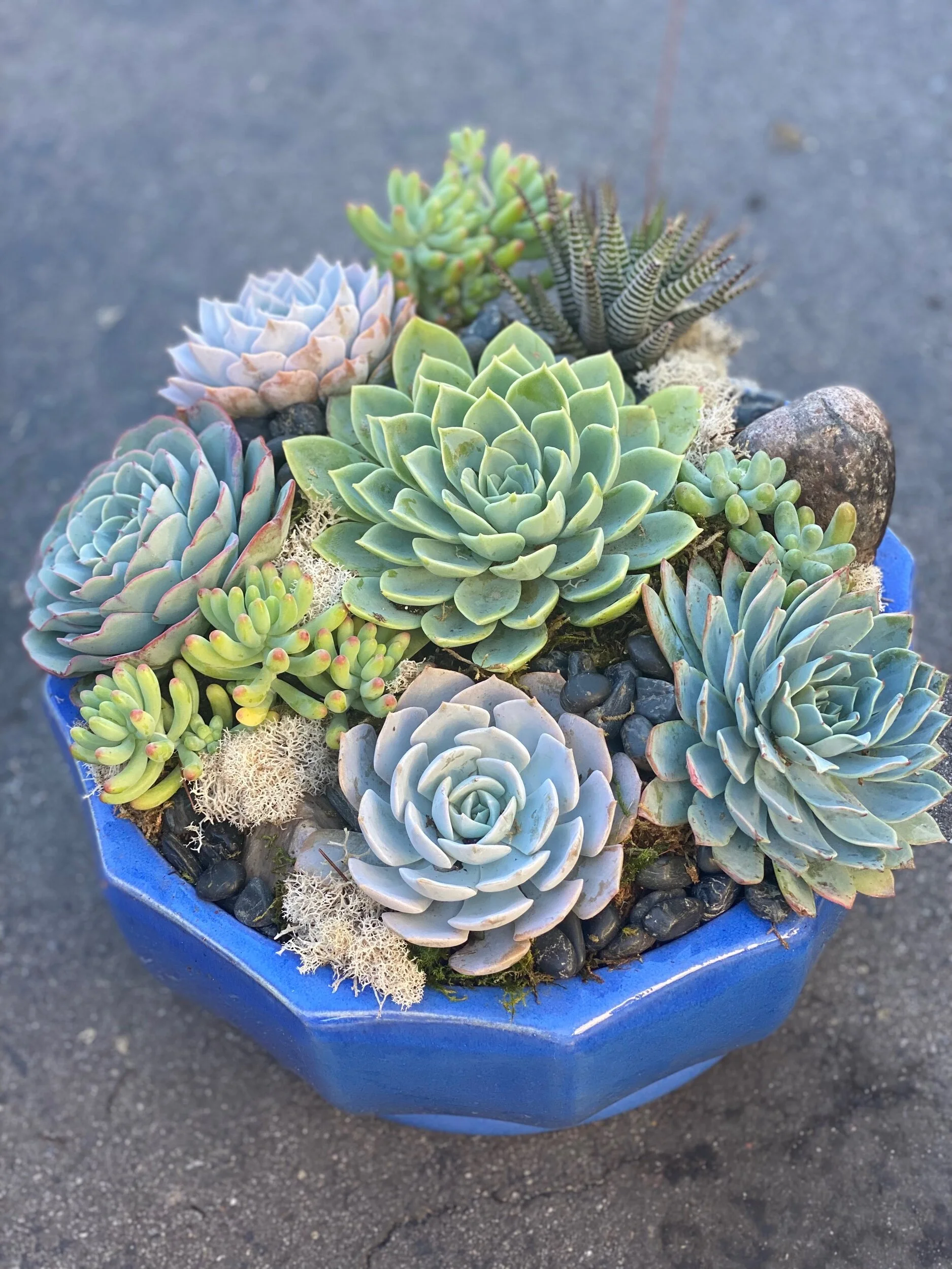 860A1CF7-03B0-4E48-BB16-CF2546D3AE02