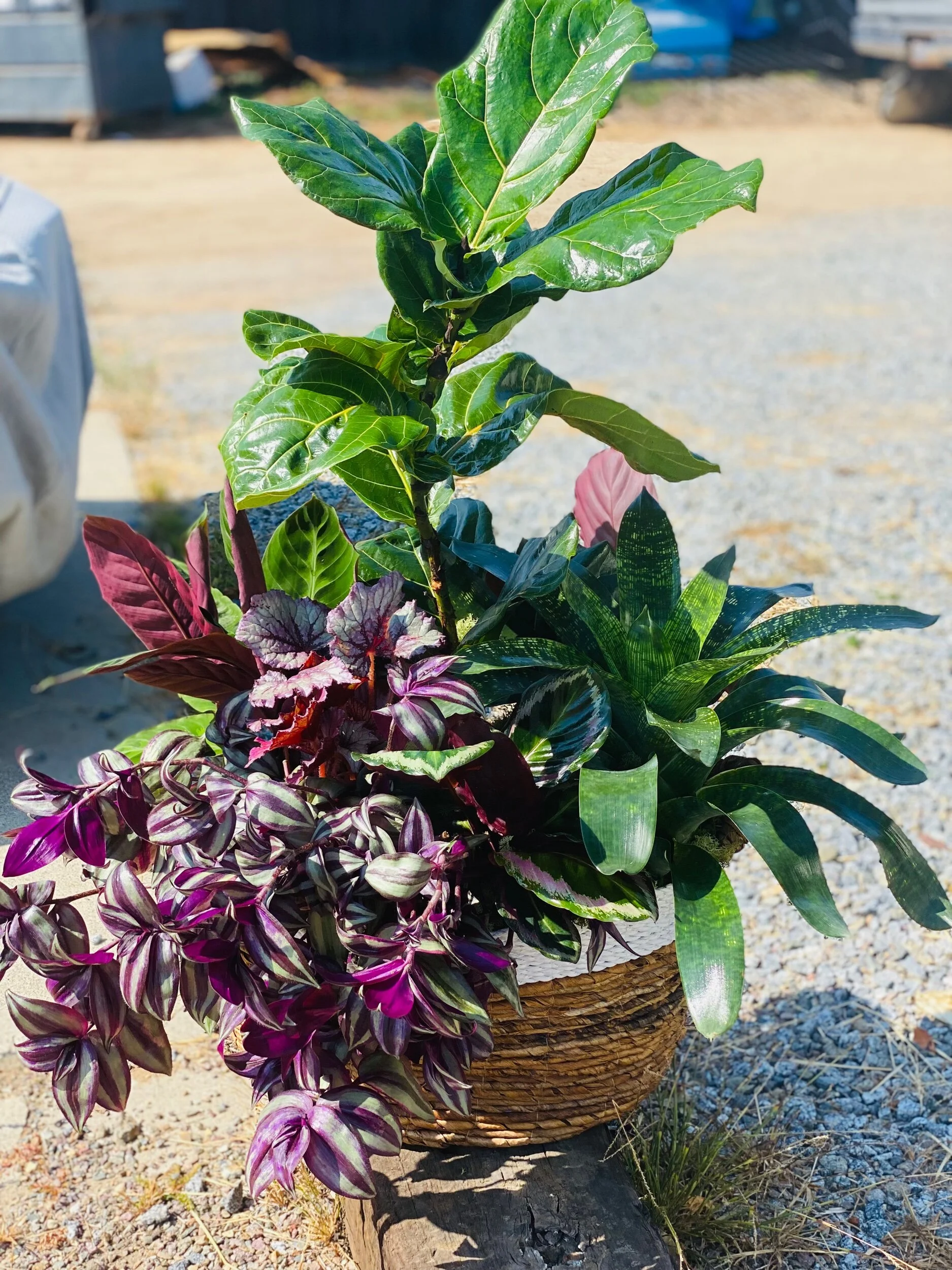 CAE2EE2F-350D-4859-8397-0BE1D6E1367A