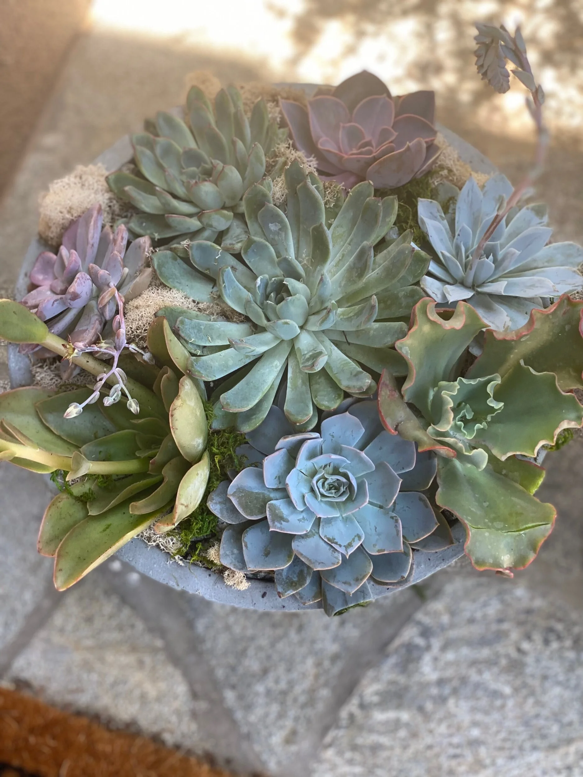 0505AFC0-2940-4F9D-8517-C4B74AE707C6