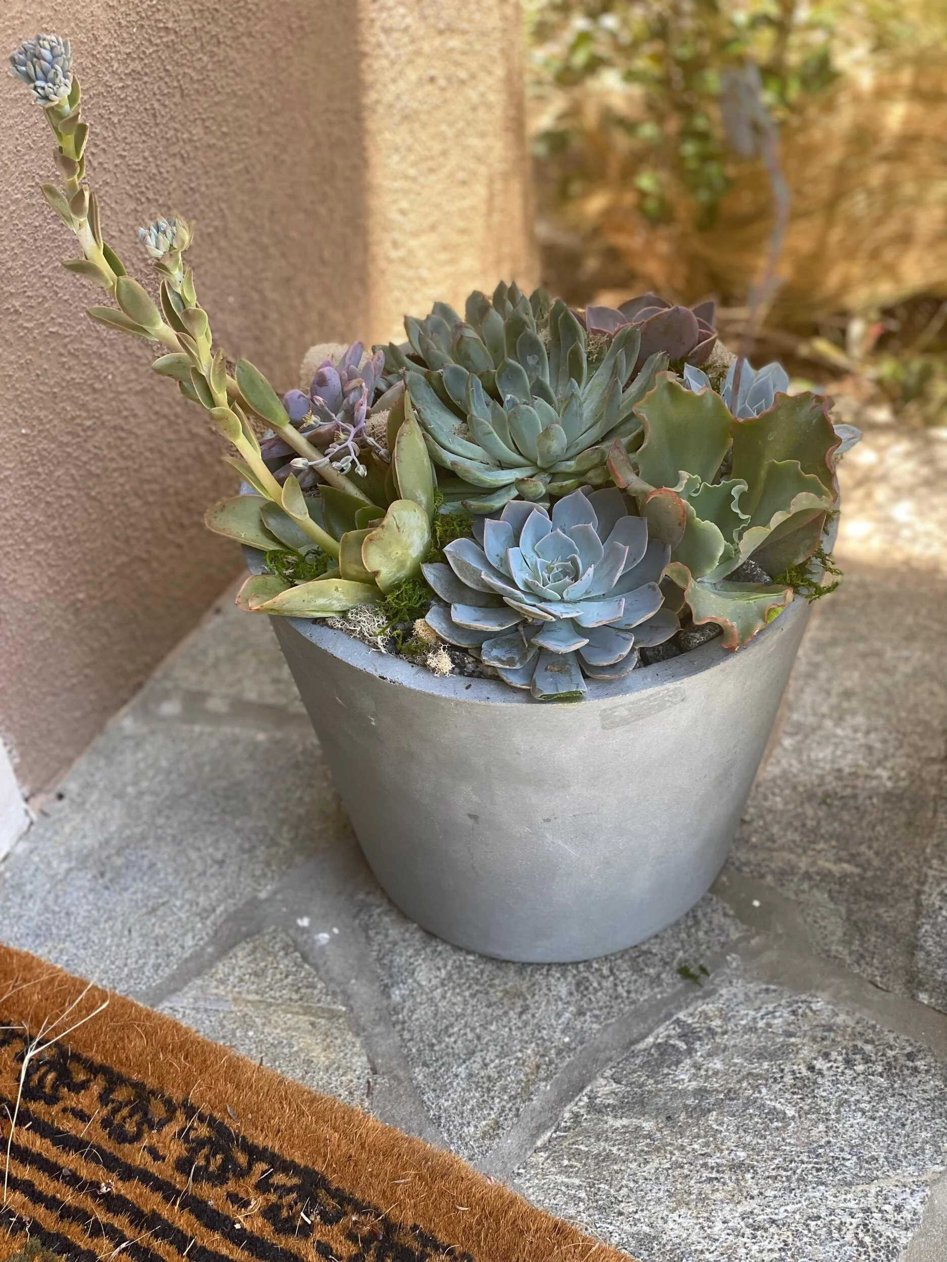 2673726D-CD0F-44C7-99D6-E1CC26E41417