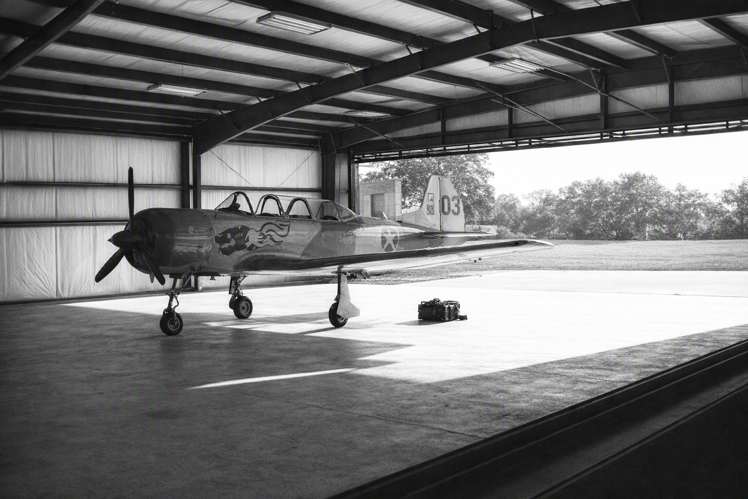 Hangar1.png