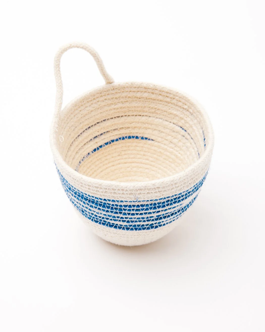 blueminiplanter3.jpg