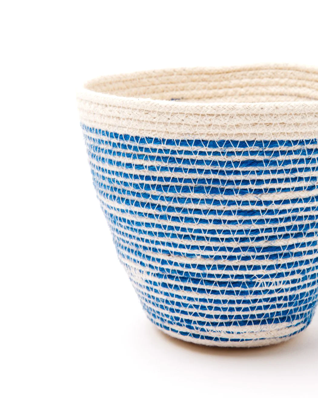 blueplanter3.jpg