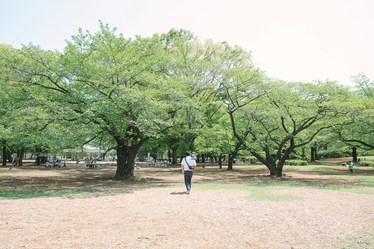 DSC_4516.jpg