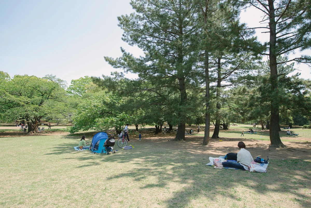 DSC_4505.jpg