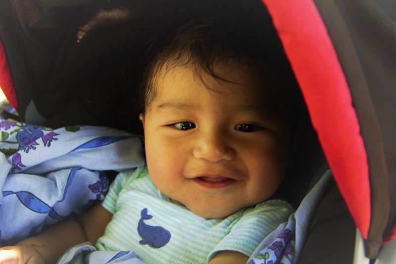 joshxiao2.jpg