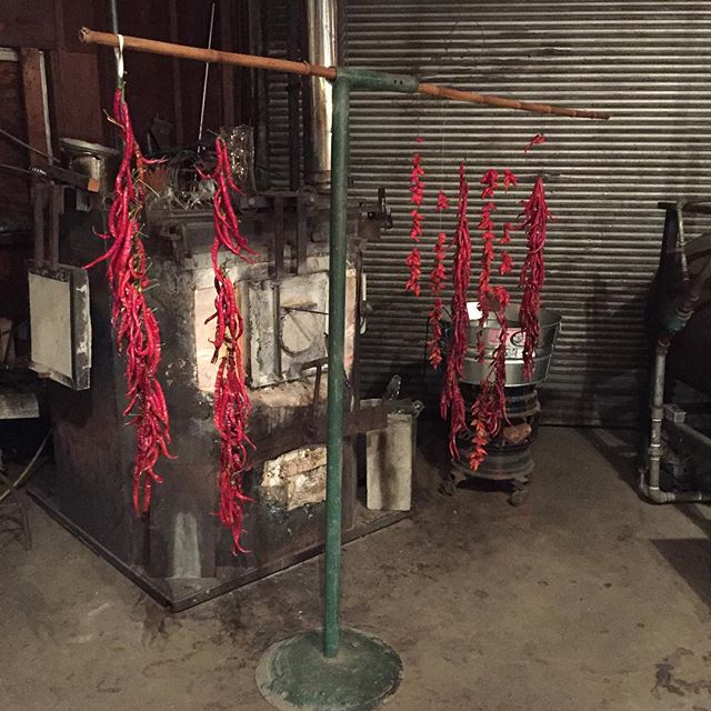 Drying #organic #chiles in front of the glass furnace at #bohoglasscoop. Talk to Mary the Fairy on the astral plane if you want to get hot!