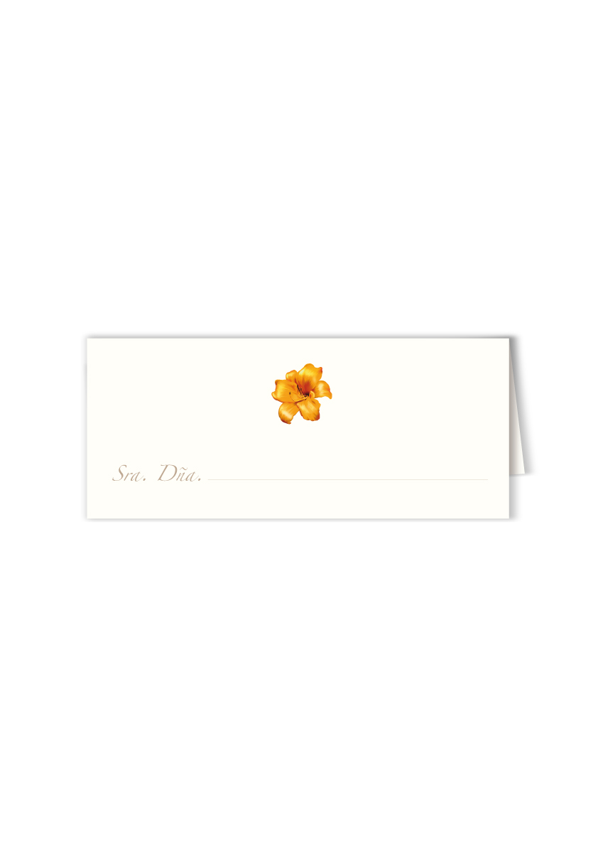 MES-INDIV-FLOR-2.jpg