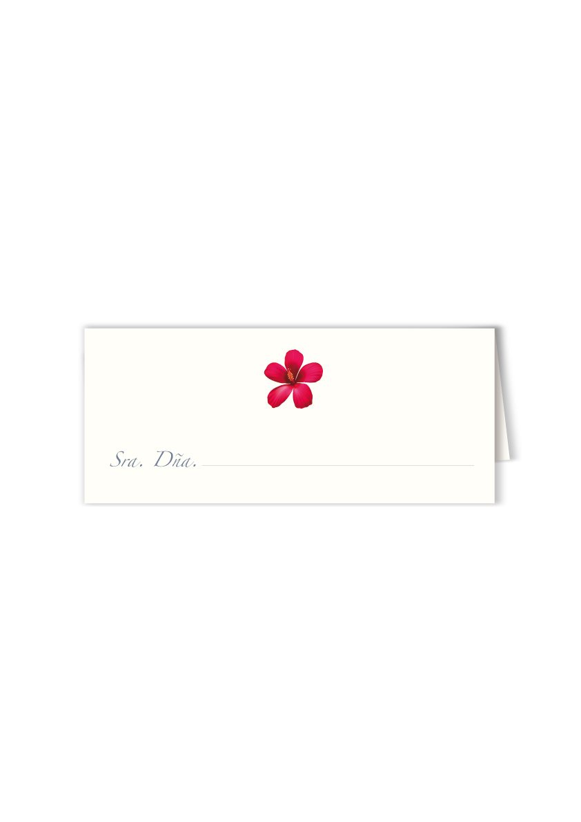 MES-INDIV-FLOR-3.jpg