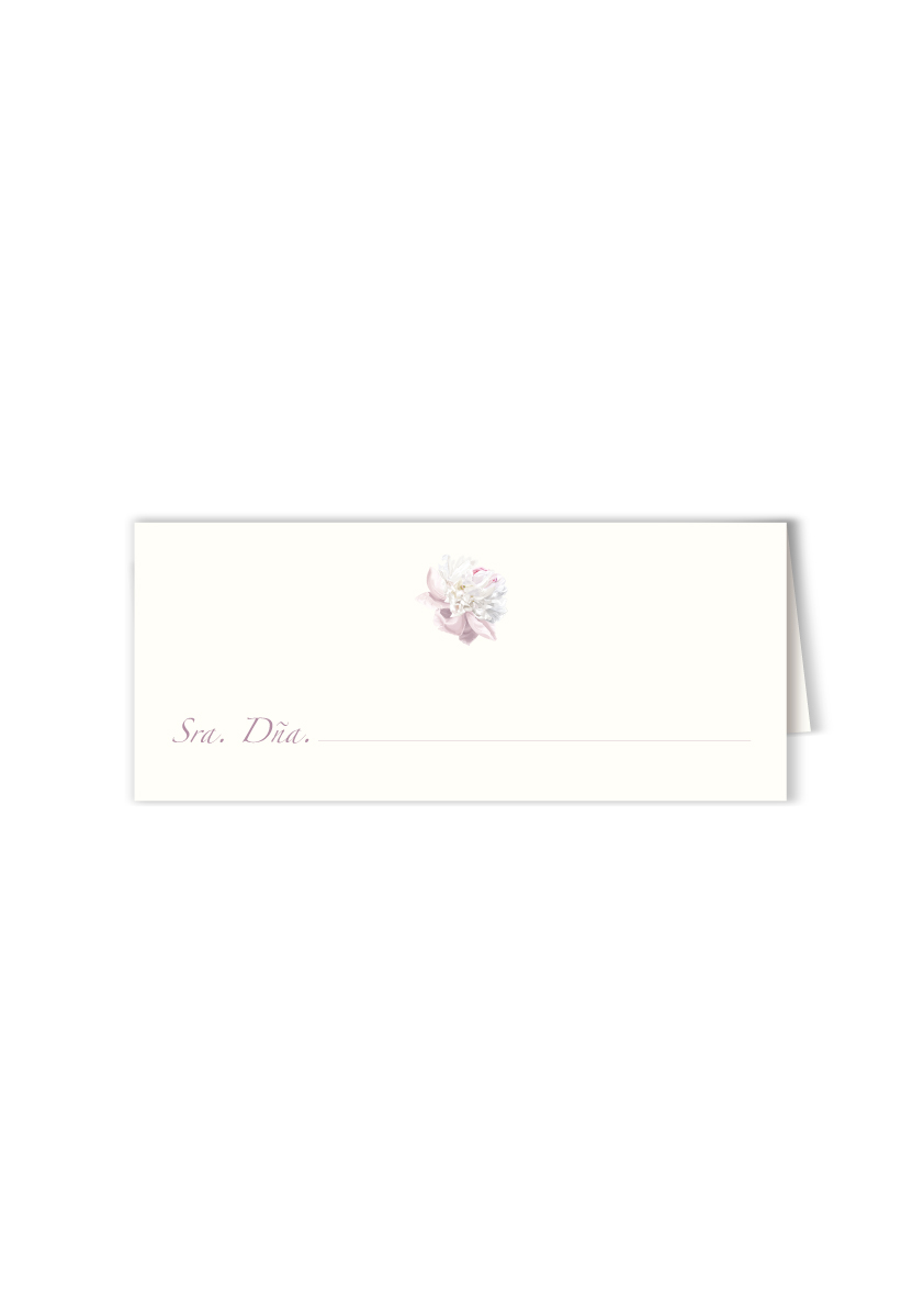 MES-INDIV-FLOR-5.jpg