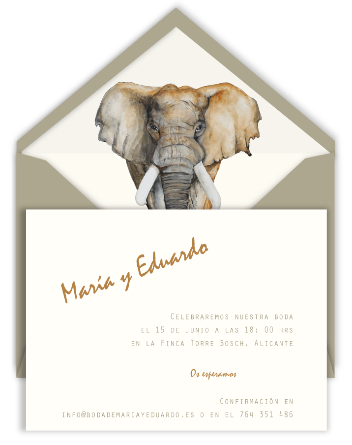 INV-ELEFANTE-SOBRE-ARENA.png