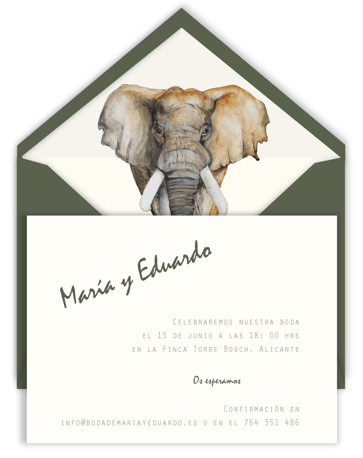 INV-ELEFANTE-sobre-verde.png