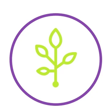 icon1.jpg