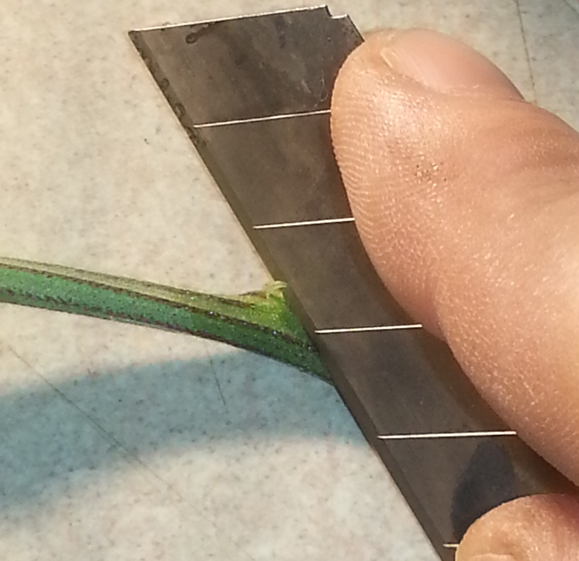 Fig #4