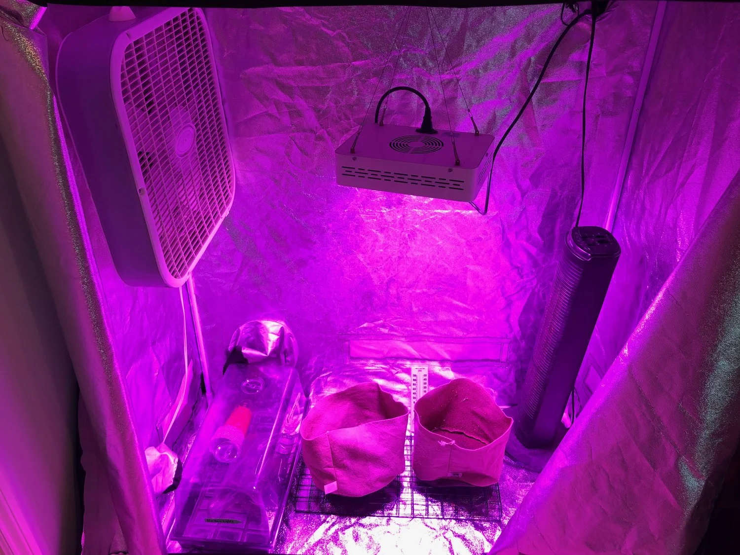 Tent set up and running to get temperature reading at maximum output.