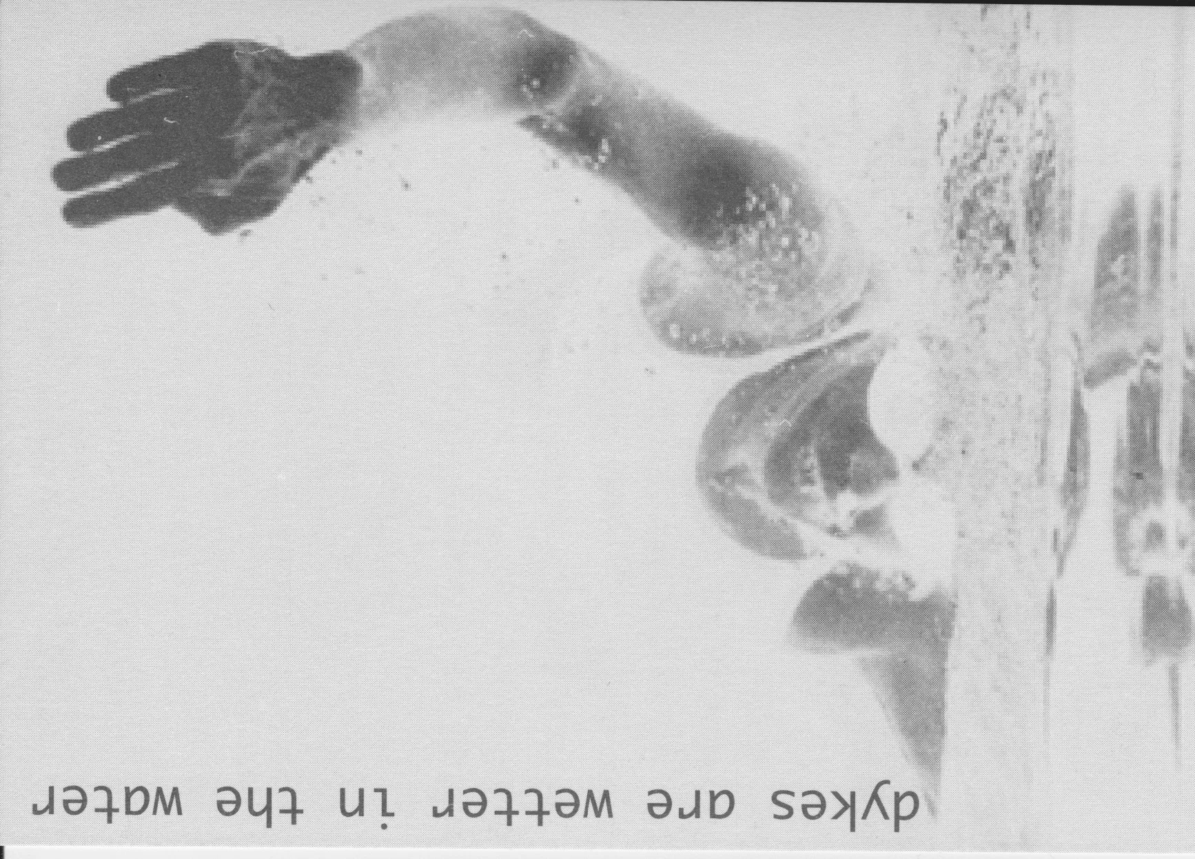 Scanned Image 2 (2).jpeg