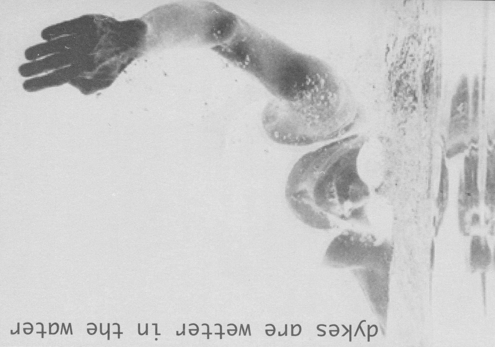 Scanned Image 3 (2).jpeg