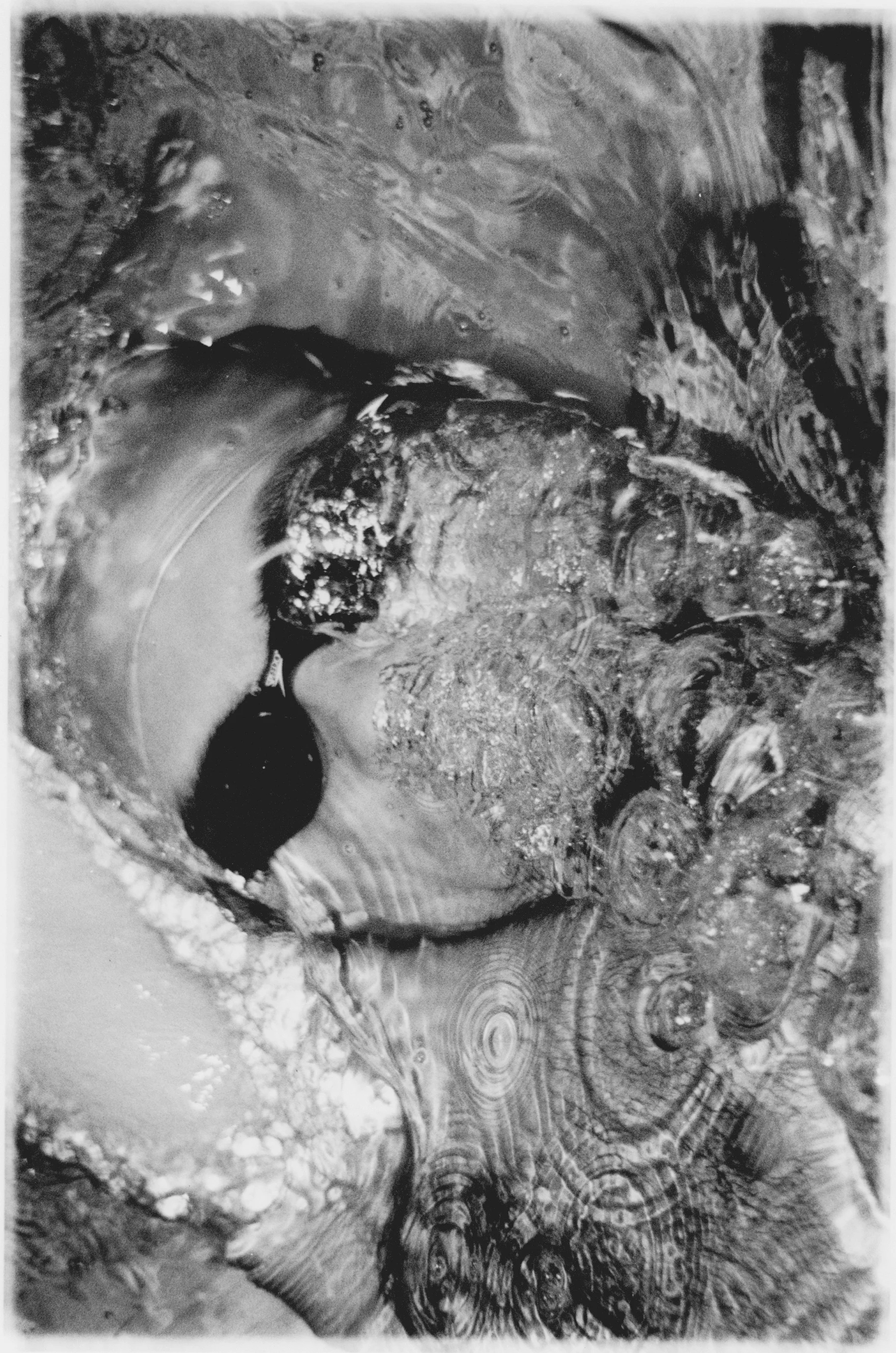 Scanned Image 19.jpeg