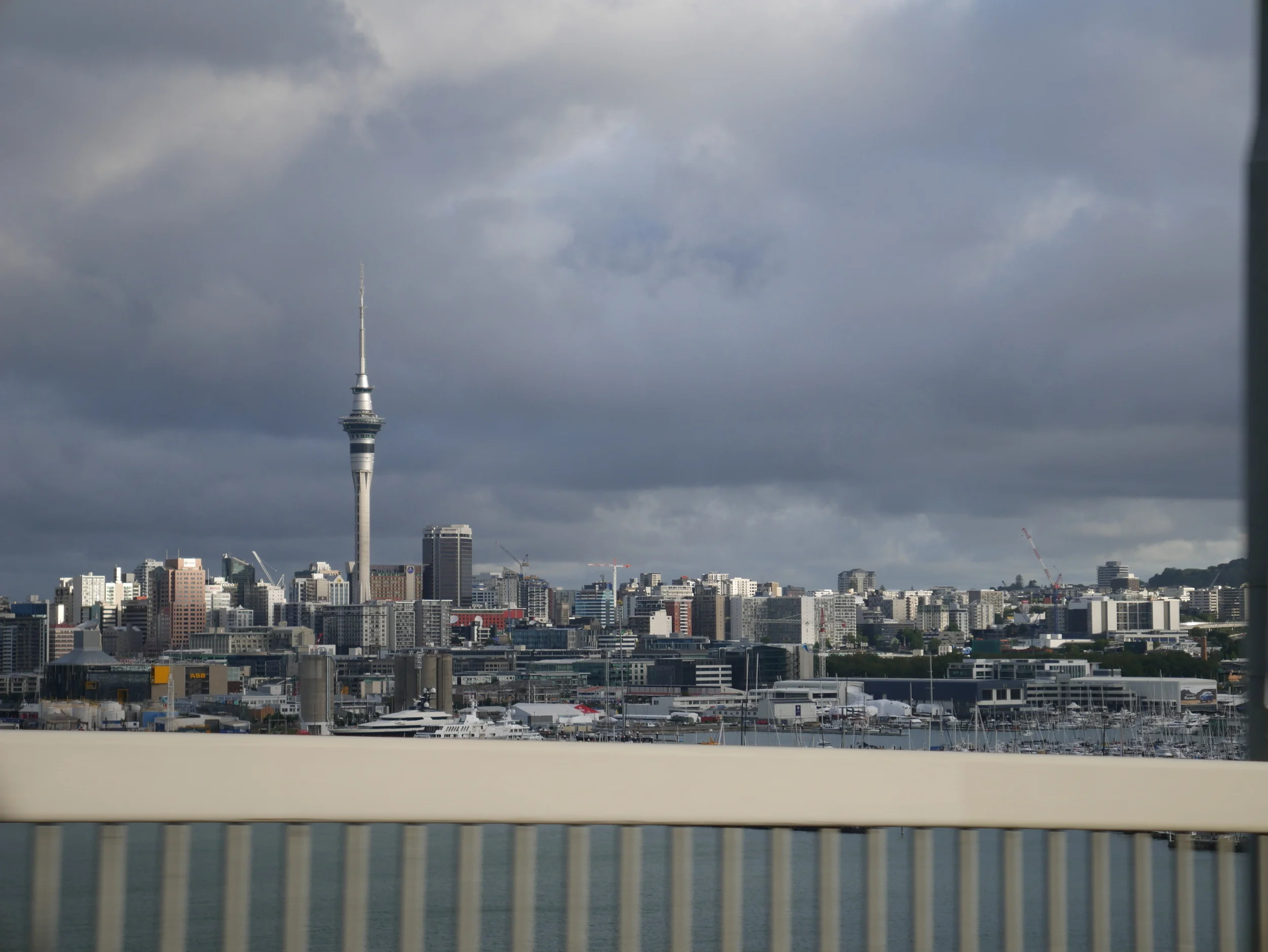 P1000131.JPG