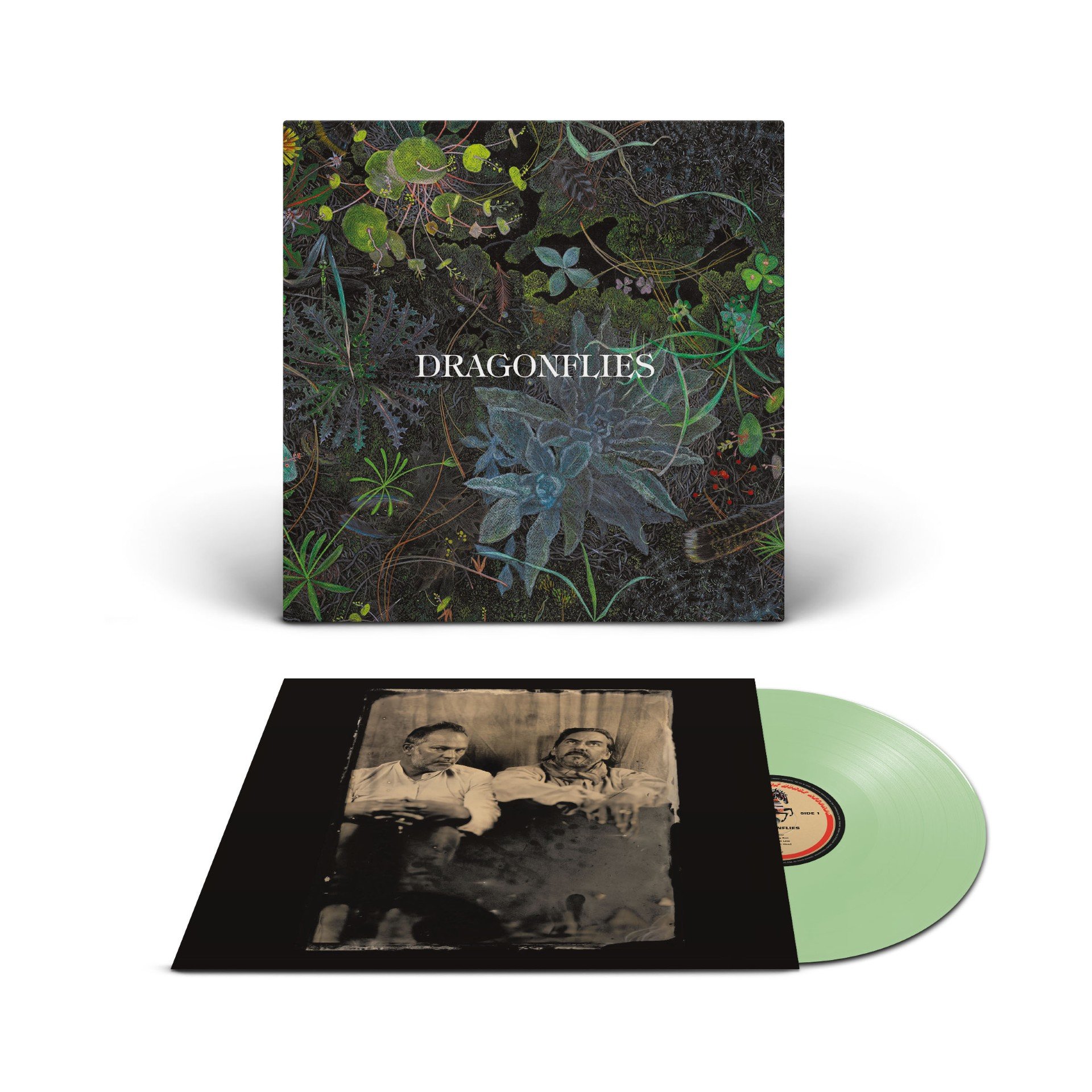 Dragonflies green.jpg