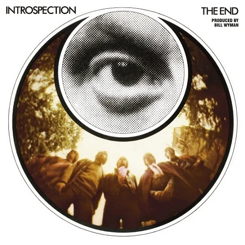 Introspection -The End.jpg