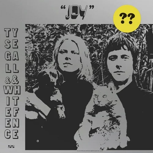 joy-cover-ty-fence-980x974.jpg