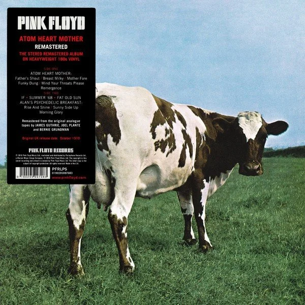 Atom Heart front.jpeg