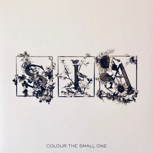 SIA - front.jpg