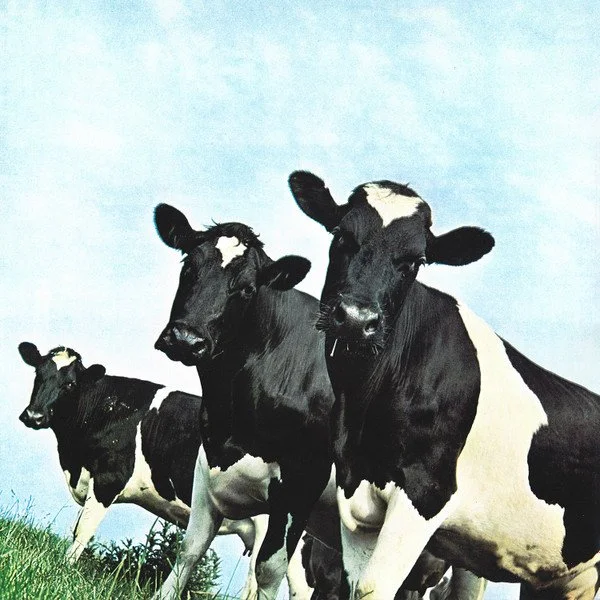 atom heart back.jpg