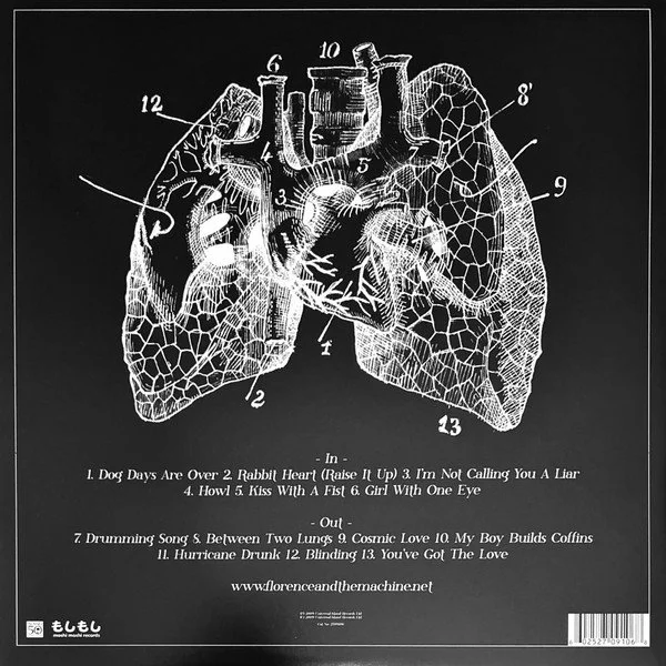 lungs back.jpg