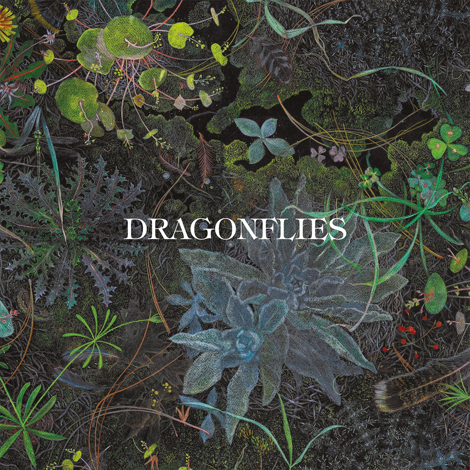 Dragonfiles Vinyl.jpg