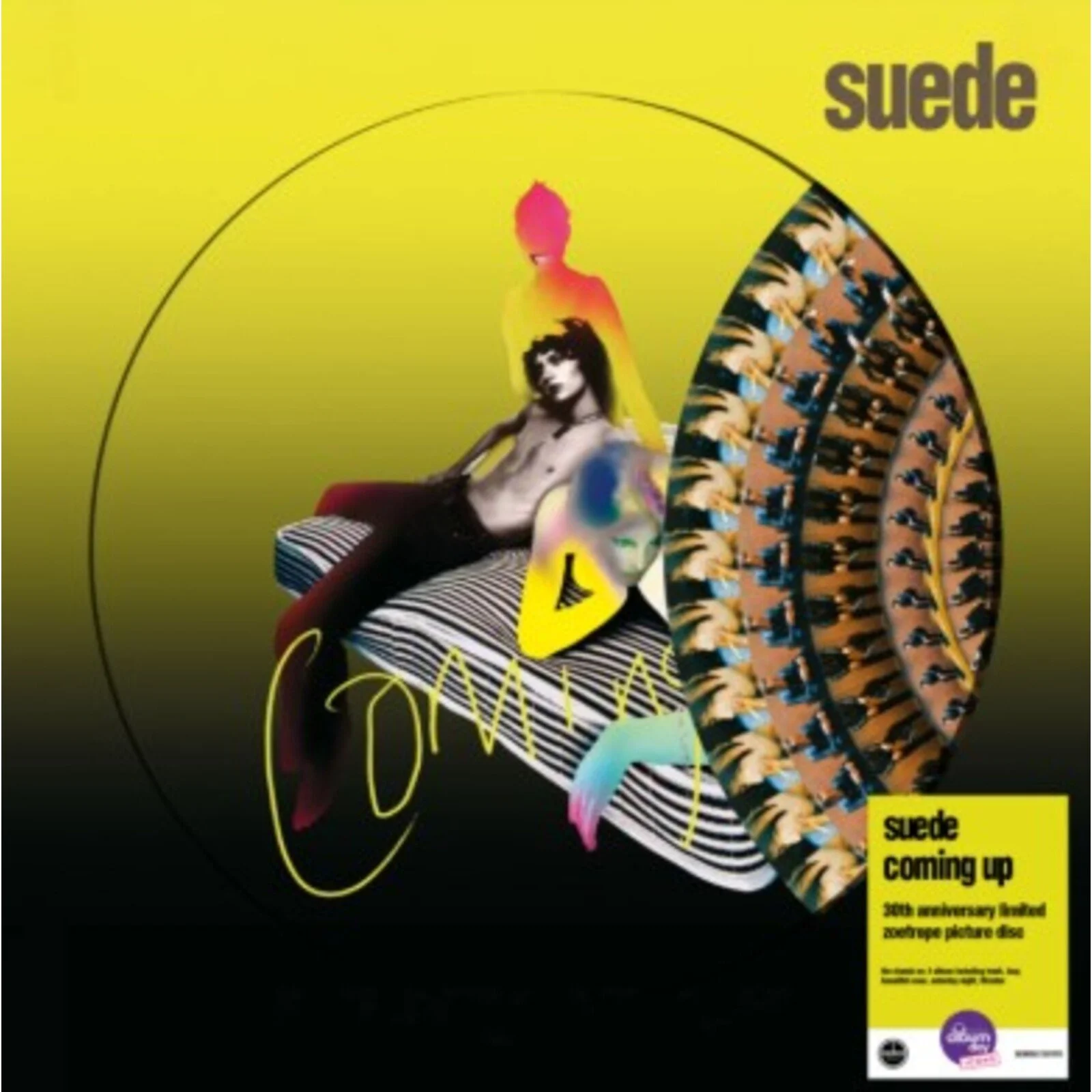 Suede - Coming Up (Zoetrope Picture Disc).  ***National Albums Day, Saturday, 17th October Exclusive***