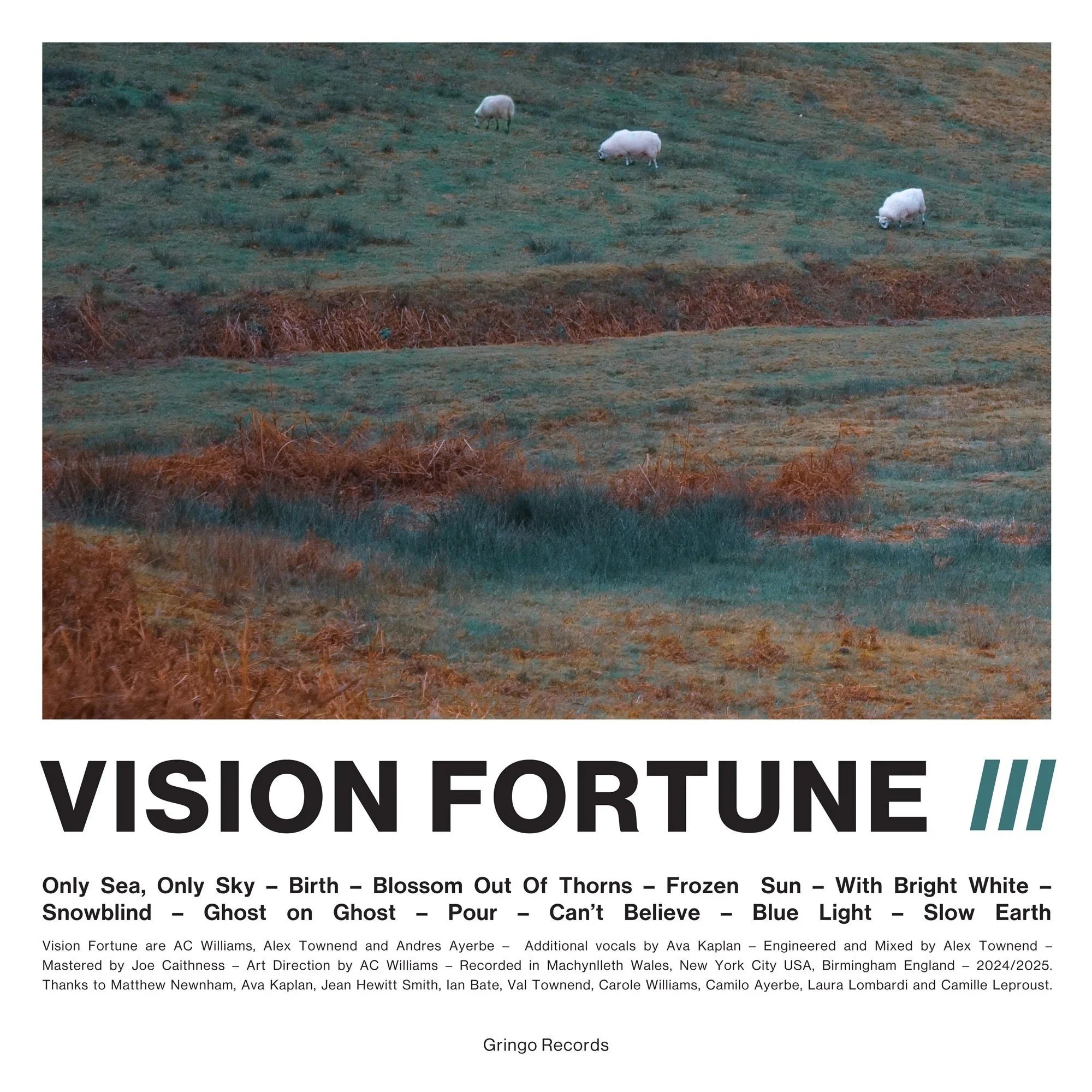Vision Fortune.jpg