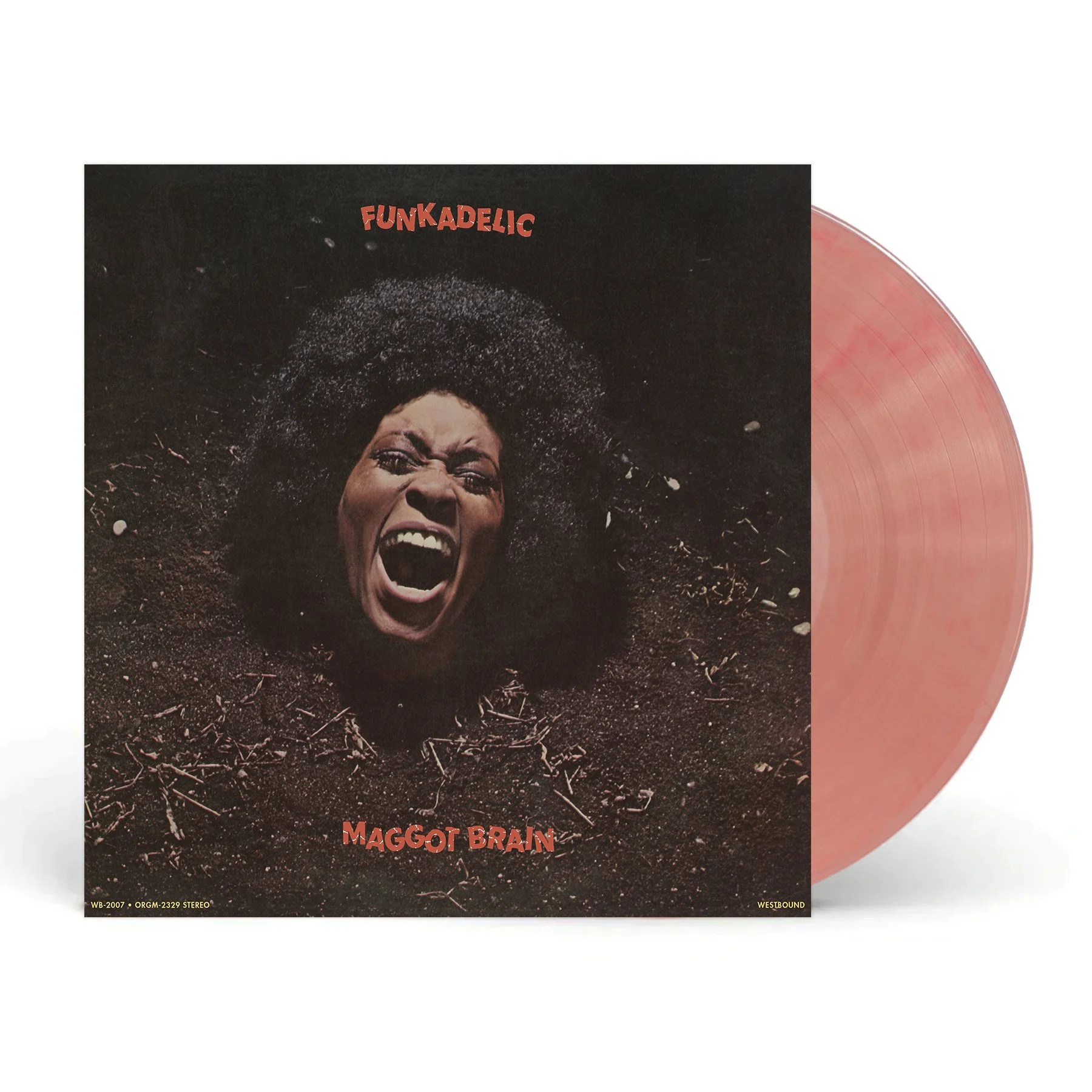 maggot red.jpg
