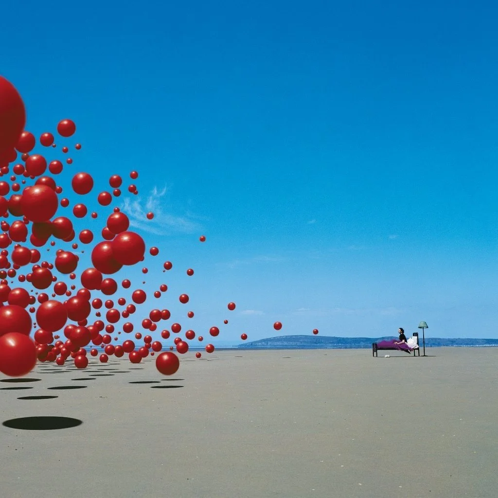 Cranberries cover.jpg