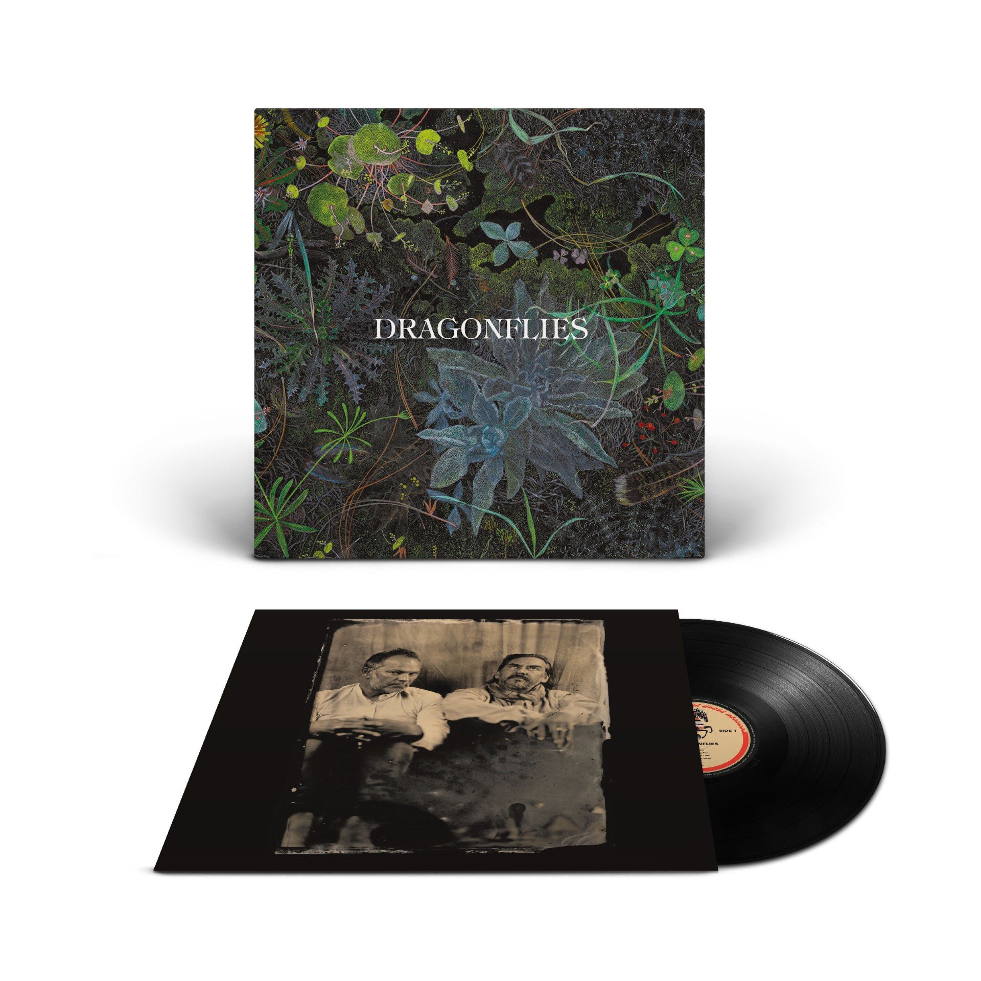 Dragonflies vinyl.jpg