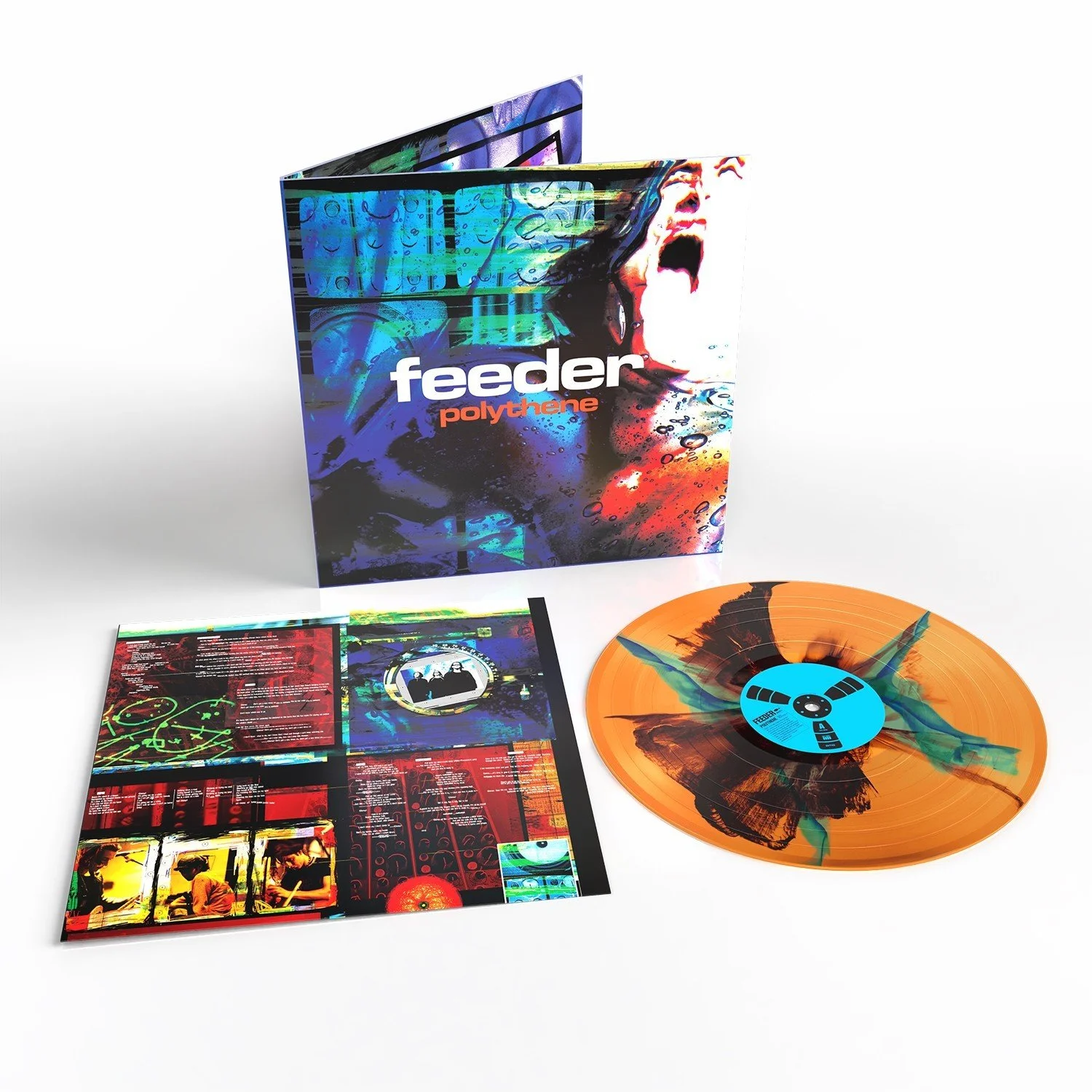 Feeder.jpeg