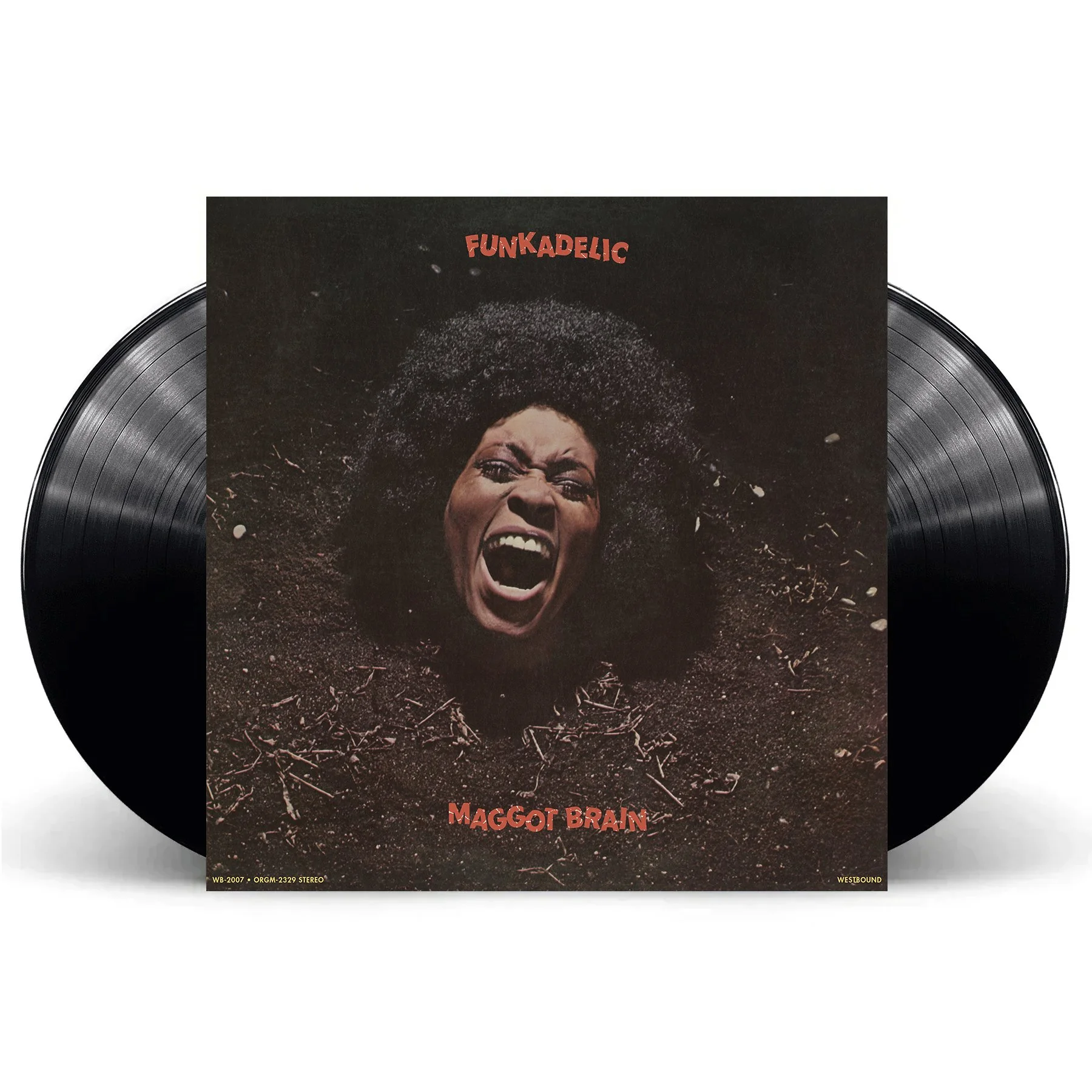 maggot 2lp.jpg