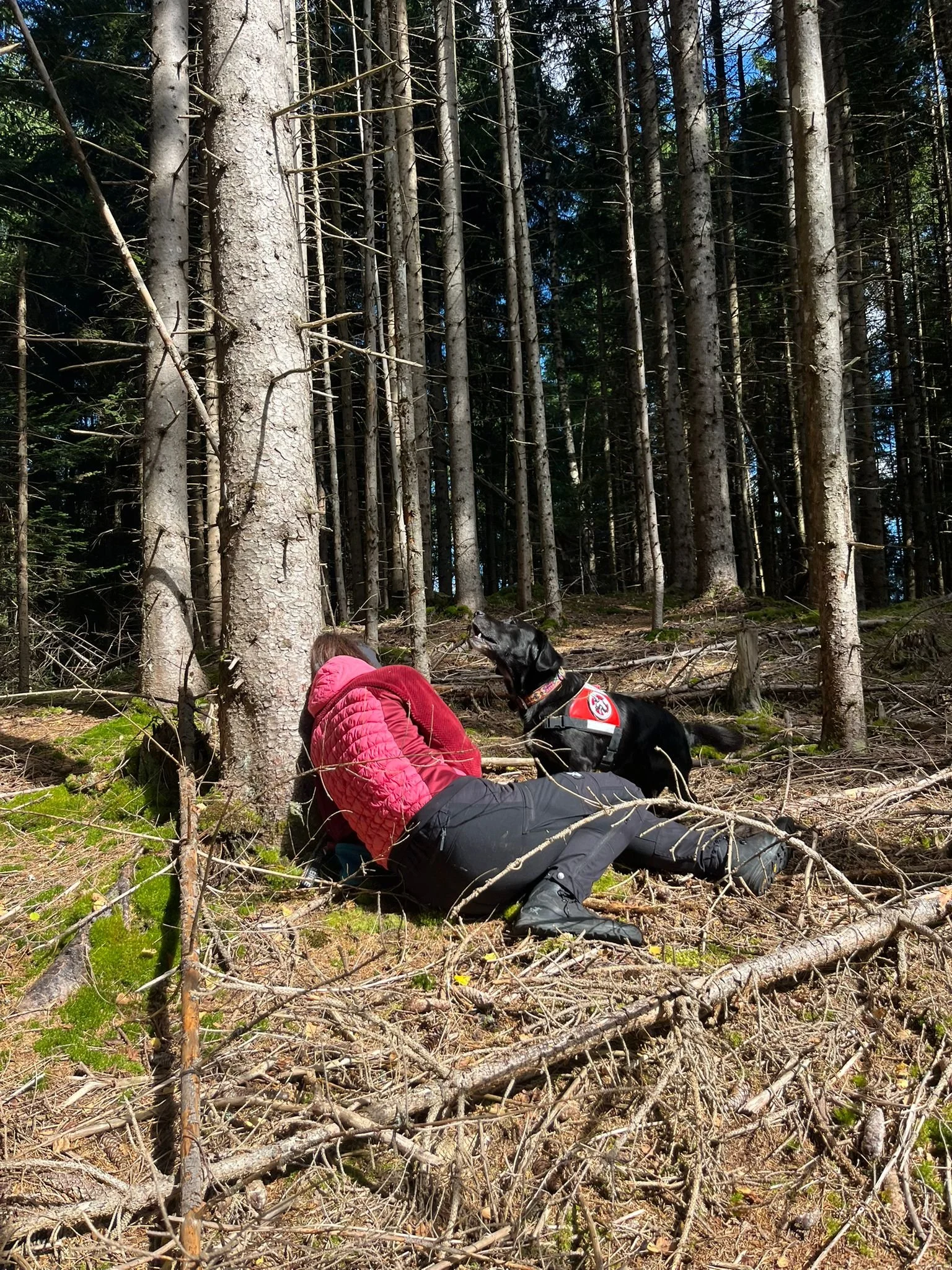 WhatsApp Image 2025-09-28 at 22.27.07.jpeg