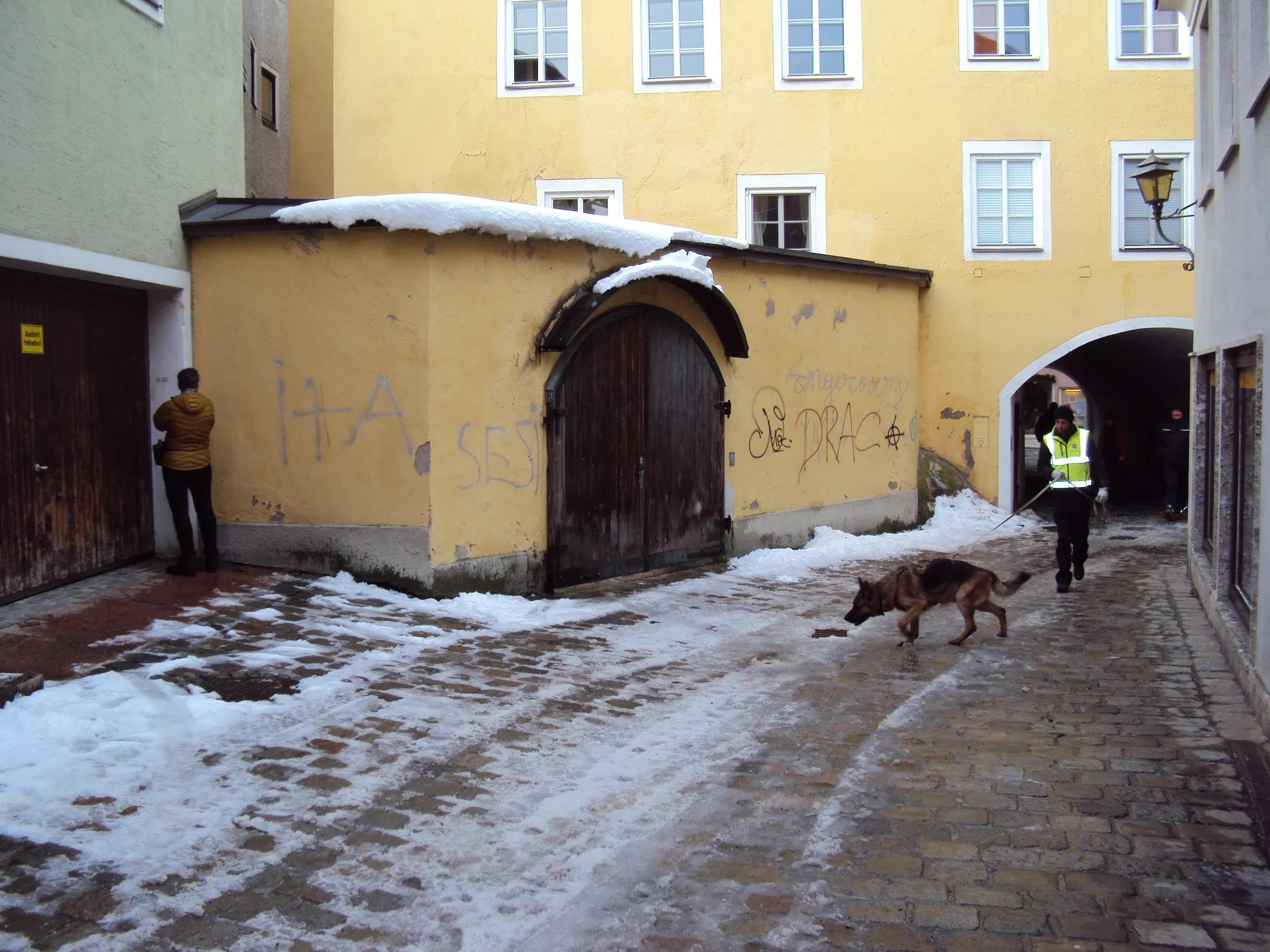 DSC01273.JPG