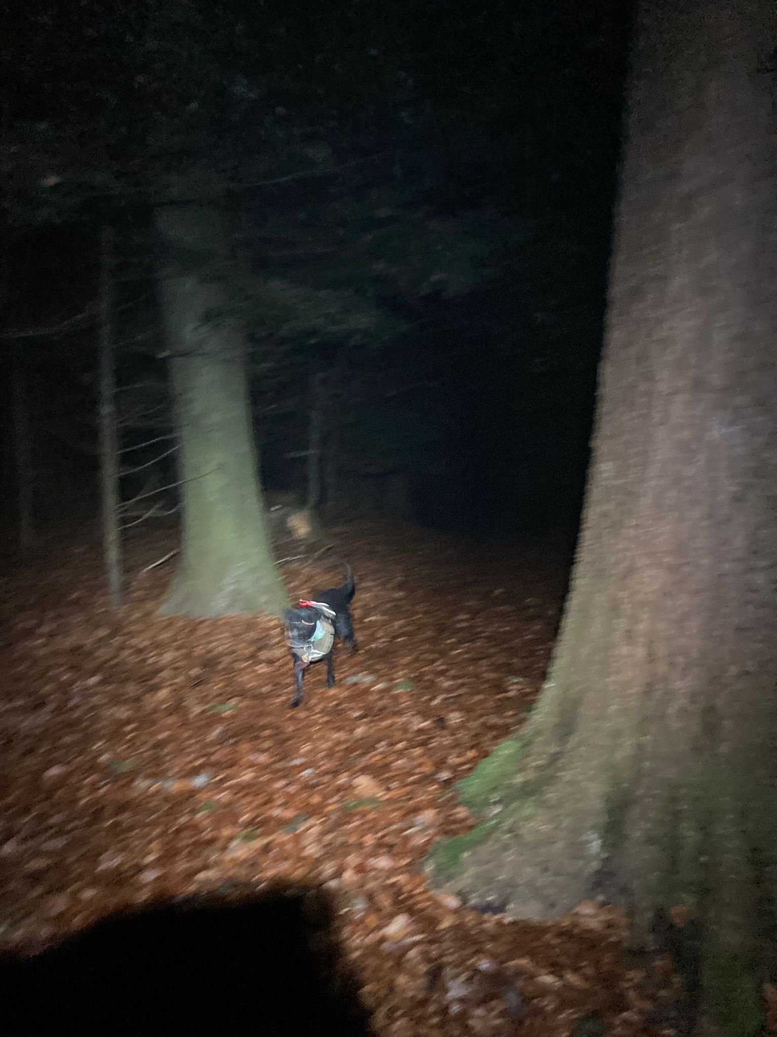 WhatsApp Image 2025-12-15 at 21.06.48 (1).jpeg