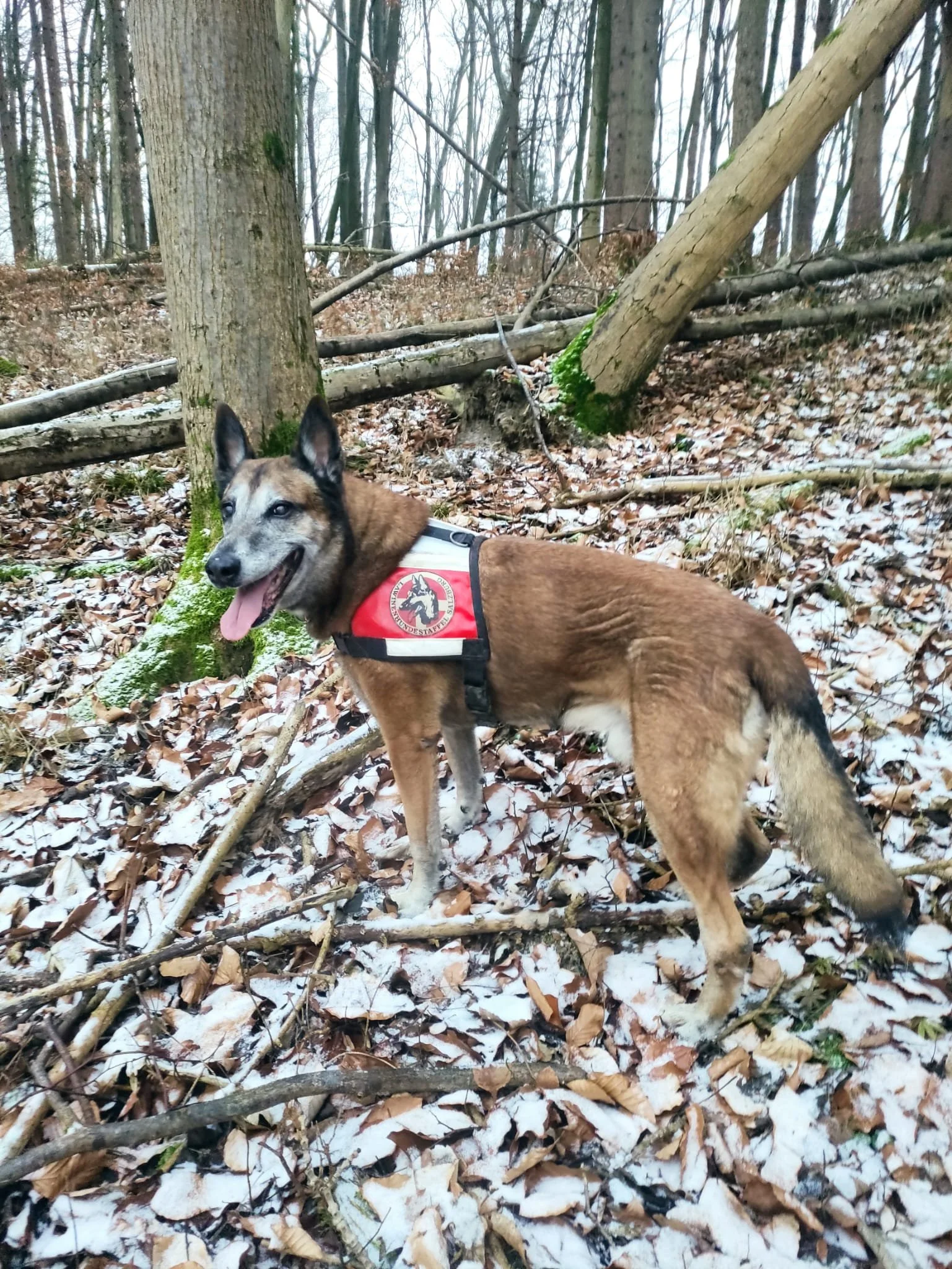 WhatsApp Image 2025-12-26 at 20.42.13 (1).jpeg