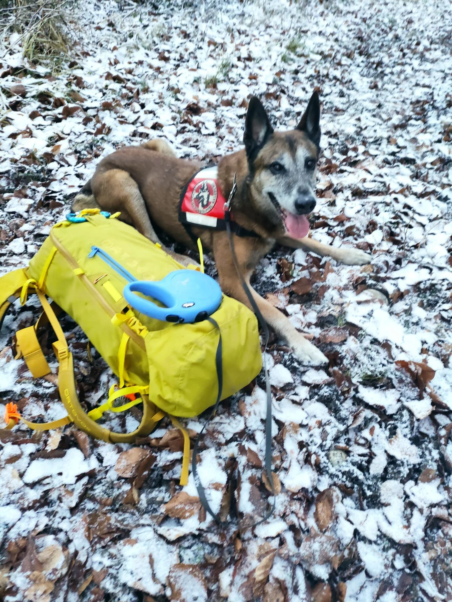 WhatsApp Image 2025-12-26 at 20.42.13.jpeg