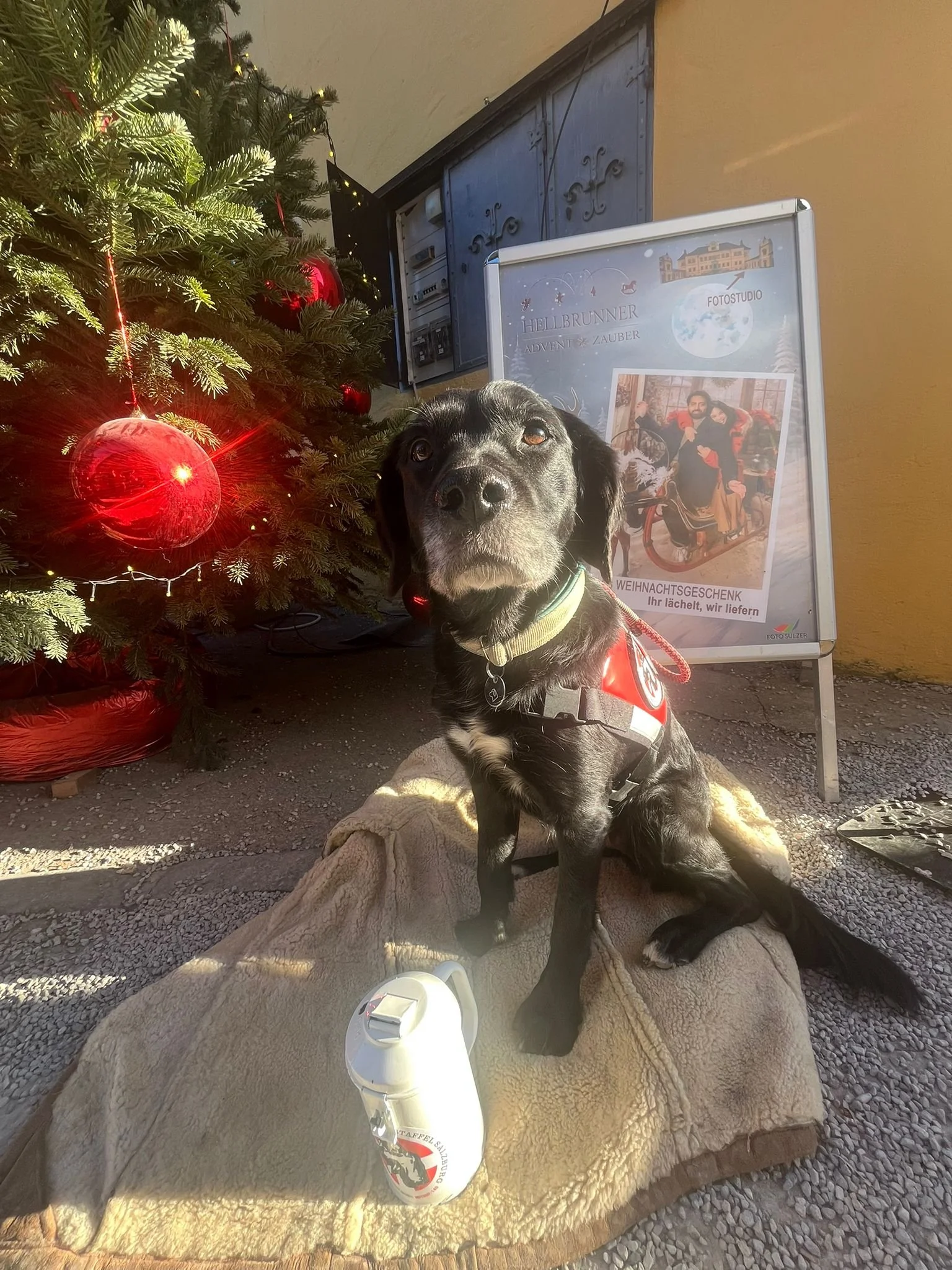 WhatsApp Image 2025-12-19 at 15.09.03.jpeg