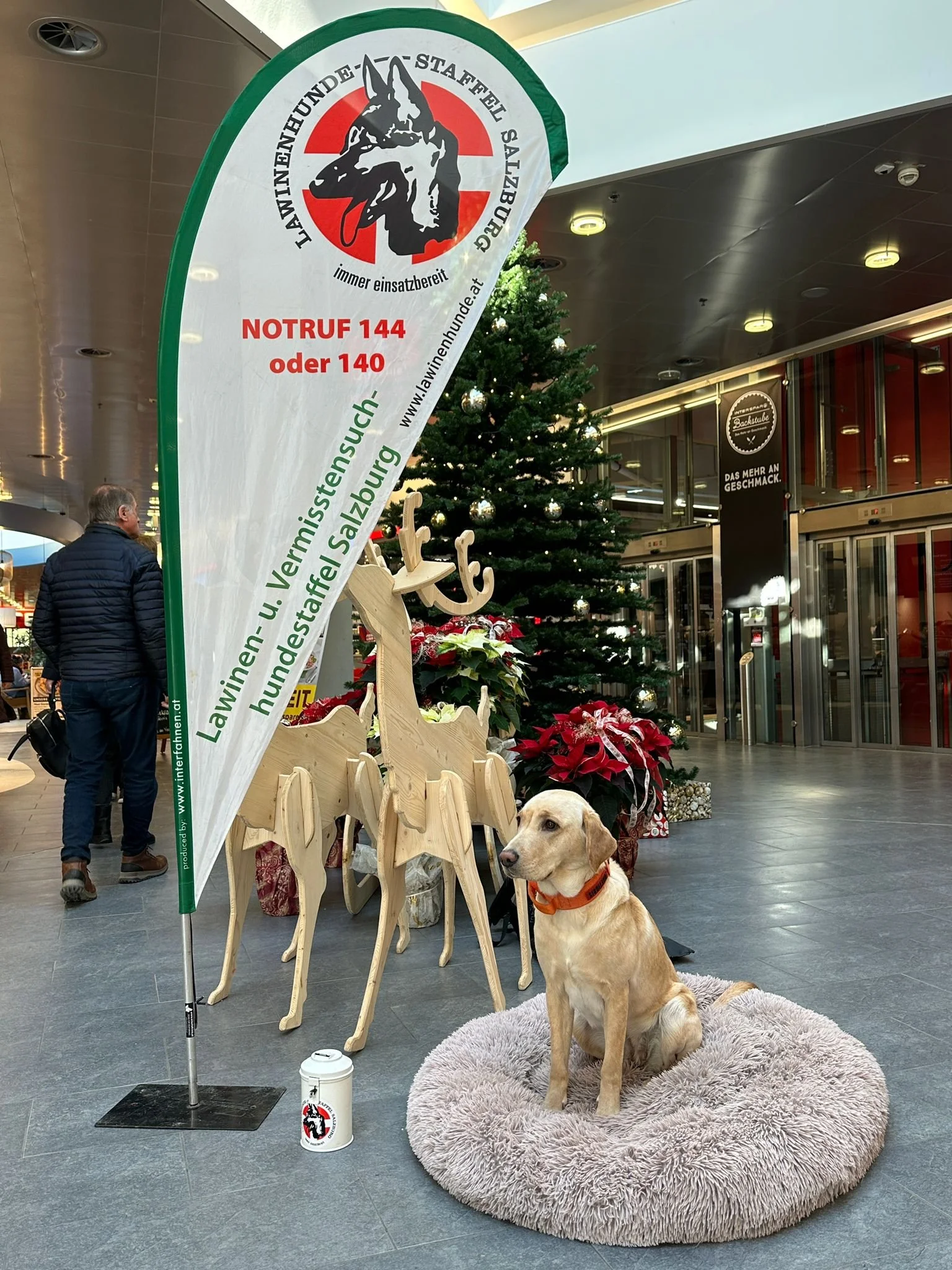 WhatsApp Image 2025-11-28 at 15.52.06.jpeg