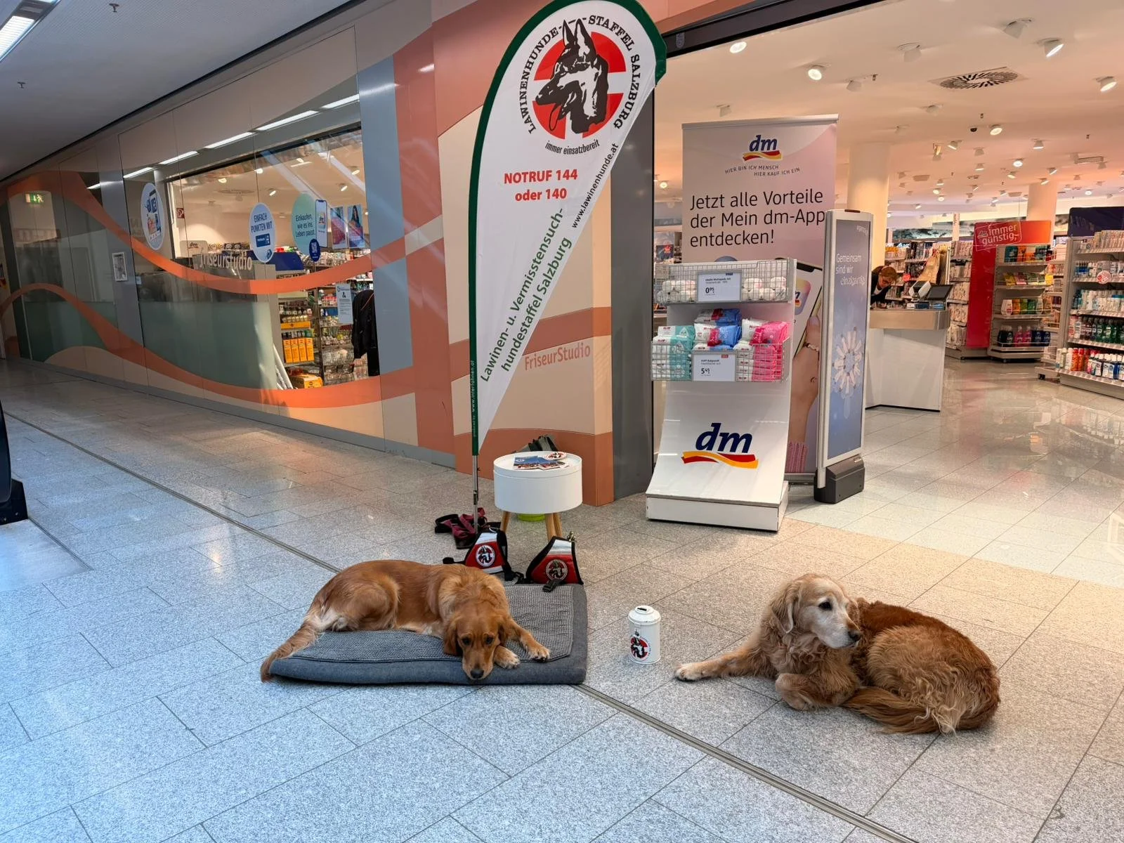 WhatsApp Image 2025-11-29 at 09.24.53.jpeg